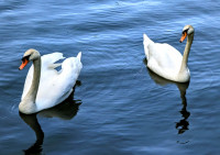 /album/oberbreidenbach-2024/wandertag-16-jpg/